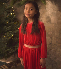 Hatley Dresses | Girls Girls Holiday Stars Crushed Velour Dress