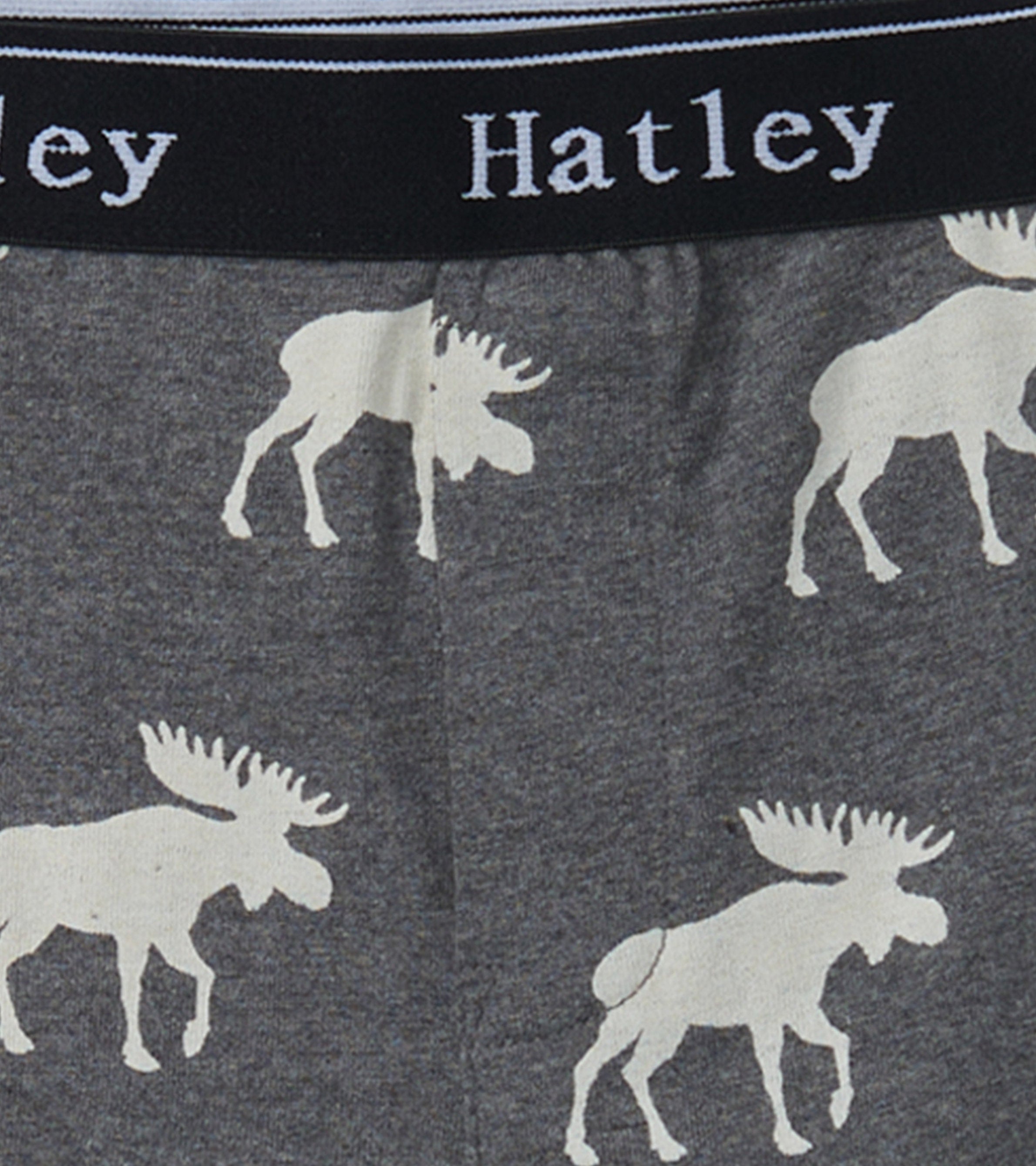 Boys Silhouette Animals 3 Pack Boxer Briefs | Hatley Outlet Boys