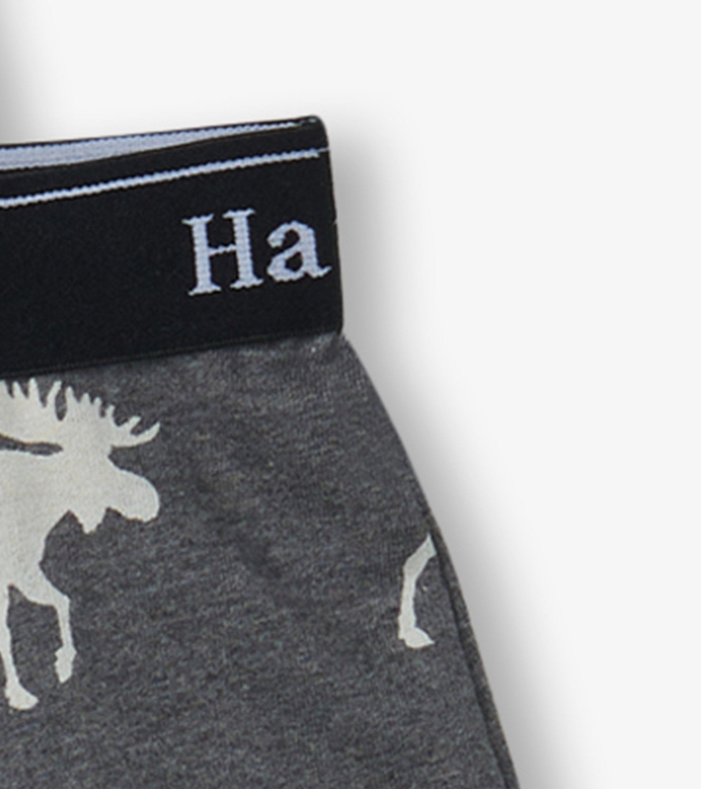Boys Silhouette Animals 3 Pack Boxer Briefs | Hatley Outlet Boys