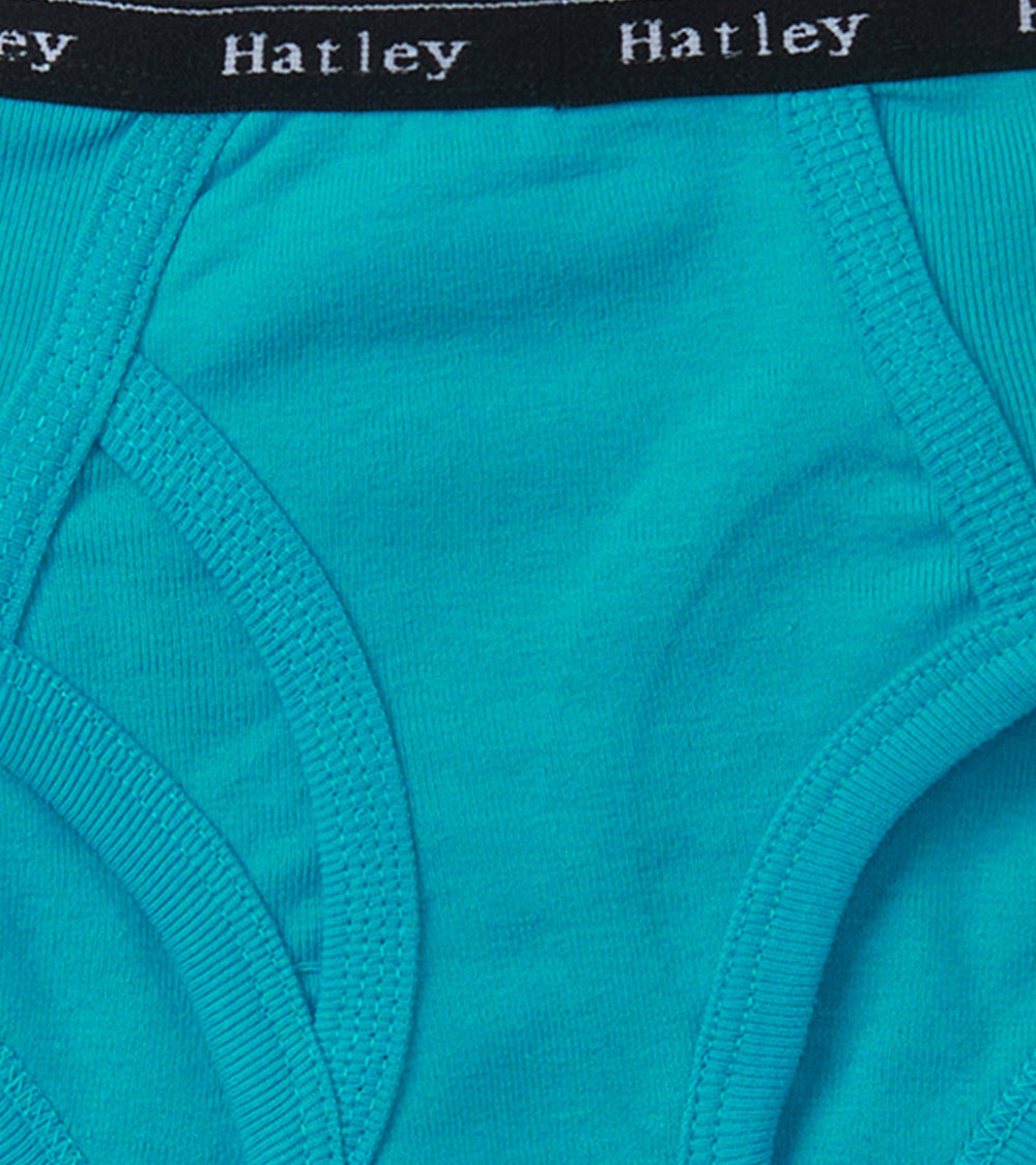 Boys Solid 3 Pack Classic Briefs | Hatley US Boys