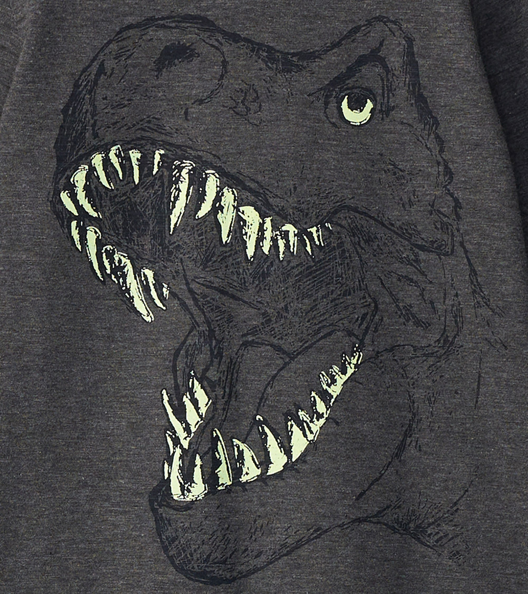 Boys T-Rex Glow in the Dark Long Sleeve T-Shirt | Hatley Sale Boys