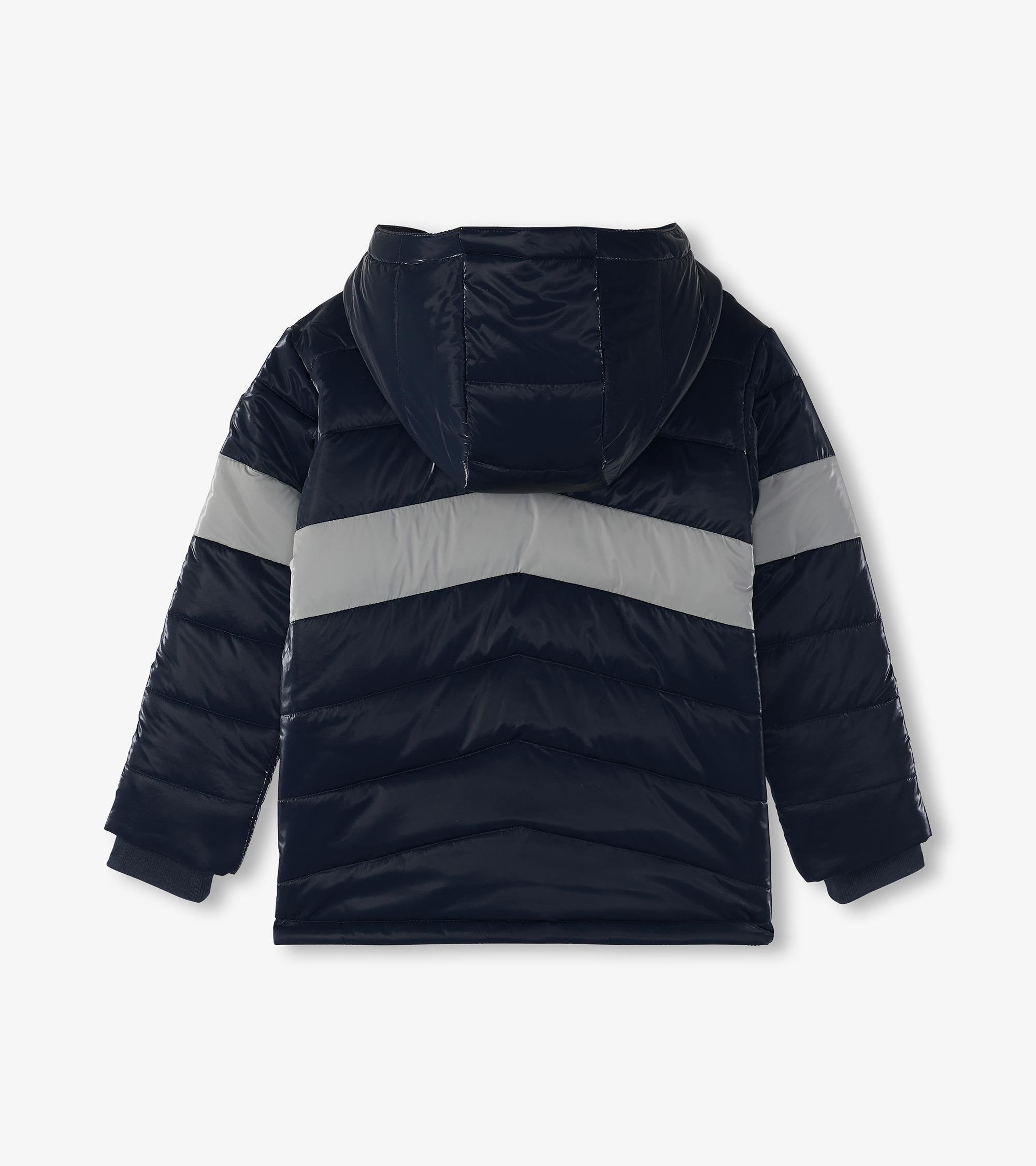 Boys Shark Skin Puffer Jacket | Hatley US Boys