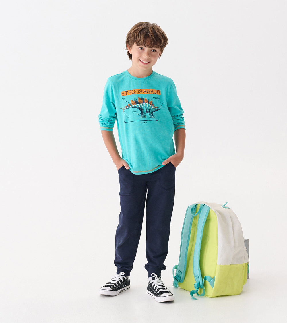 Boys Stegosaurus Glow in the Dark Long Sleeve Graphic Tee | Hatley Discount Boys