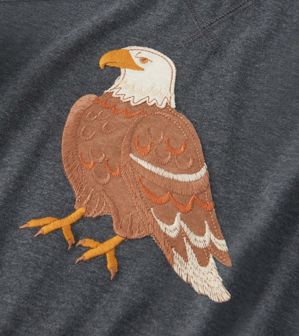 Boys Eagle Long Sleeve Raglan T-Shirt | Hatley Boys