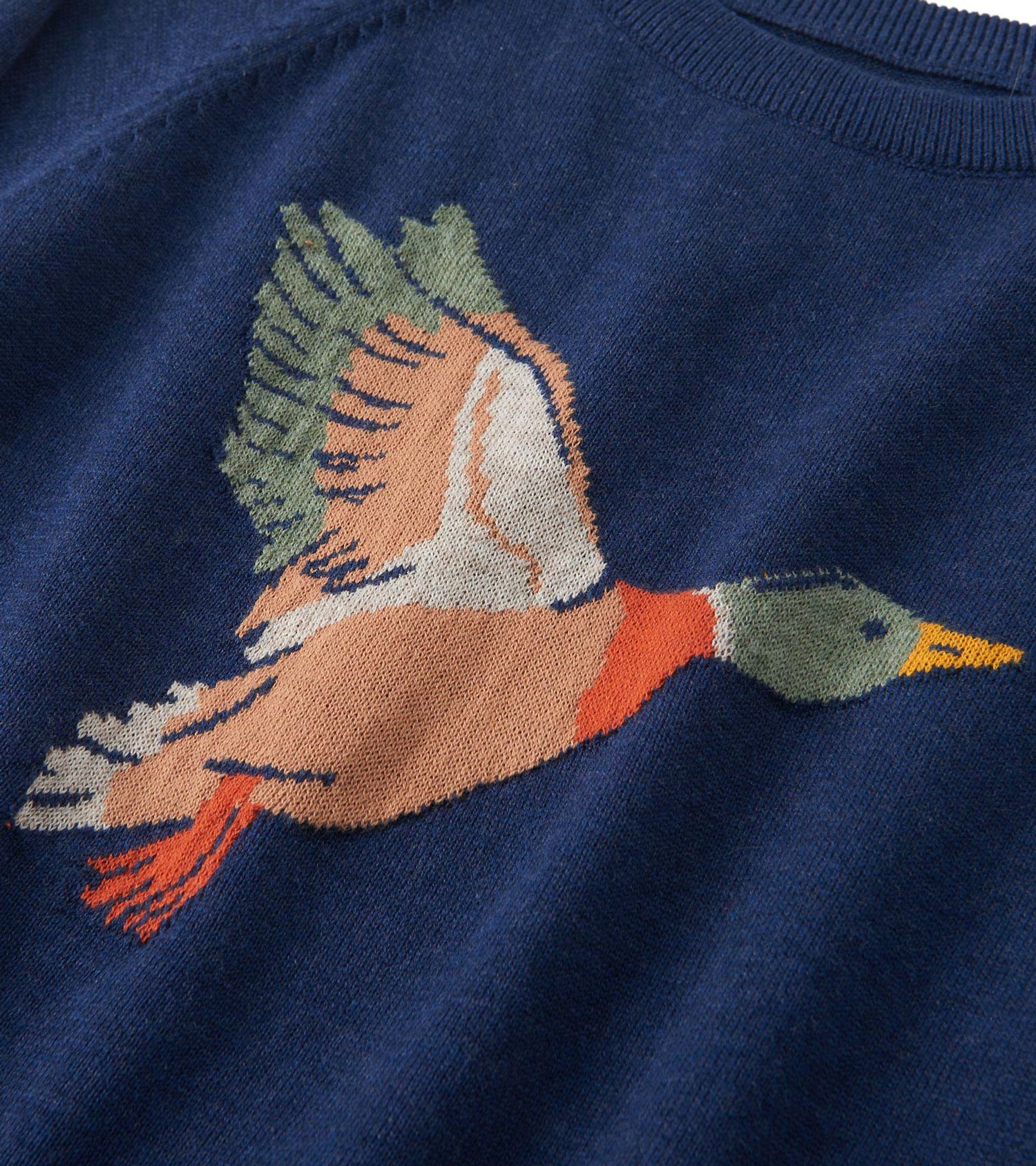 Boys Duck Crew Neck Sweater | Hatley Boys