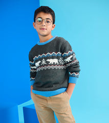Boys Polar Winter Crew Neck Sweater | Hatley Outlet Boys