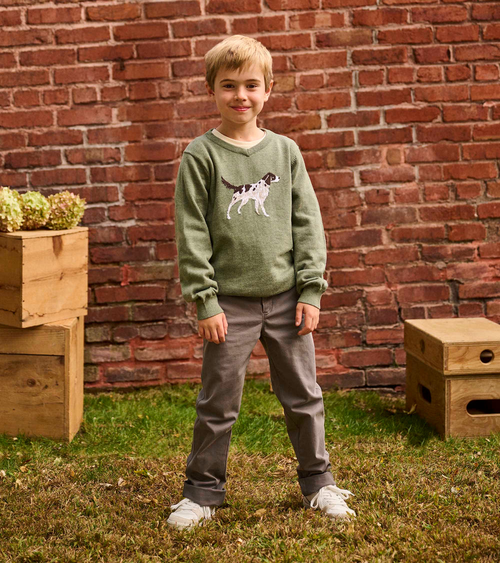 Boys Hunting Dogs V-Neck Sweater | Hatley For Boys
