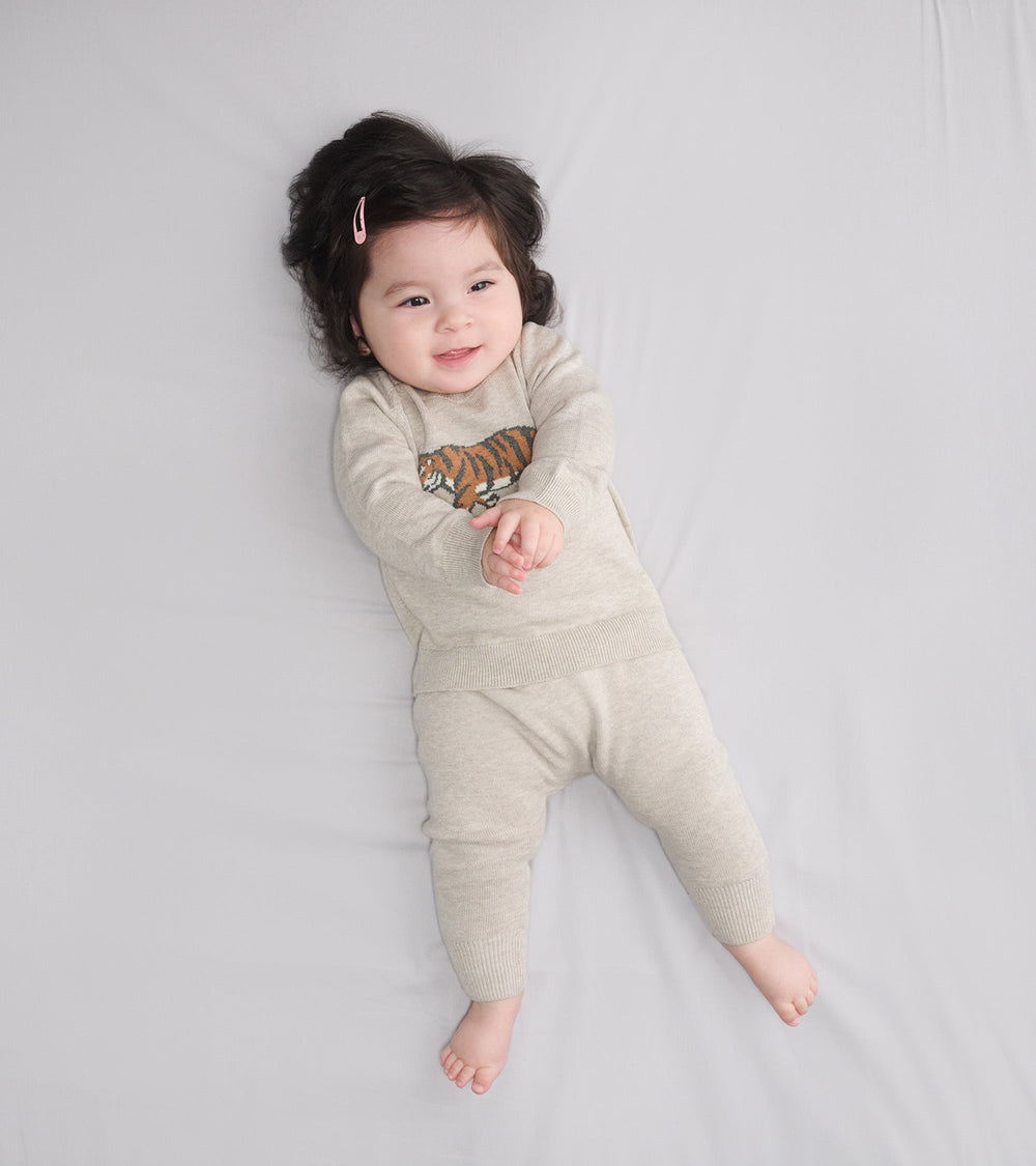 Baby Boys Little Tiger Pullover Sweater & Pants | Hatley Onsale Baby & Toddler