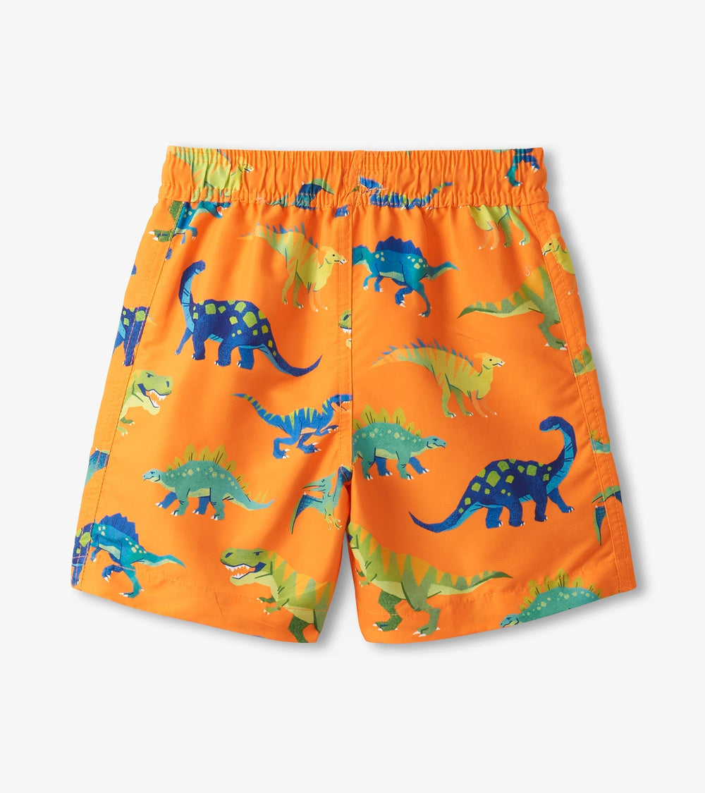 Boys Colorblock Dino Swim Shorts | Hatley Boys