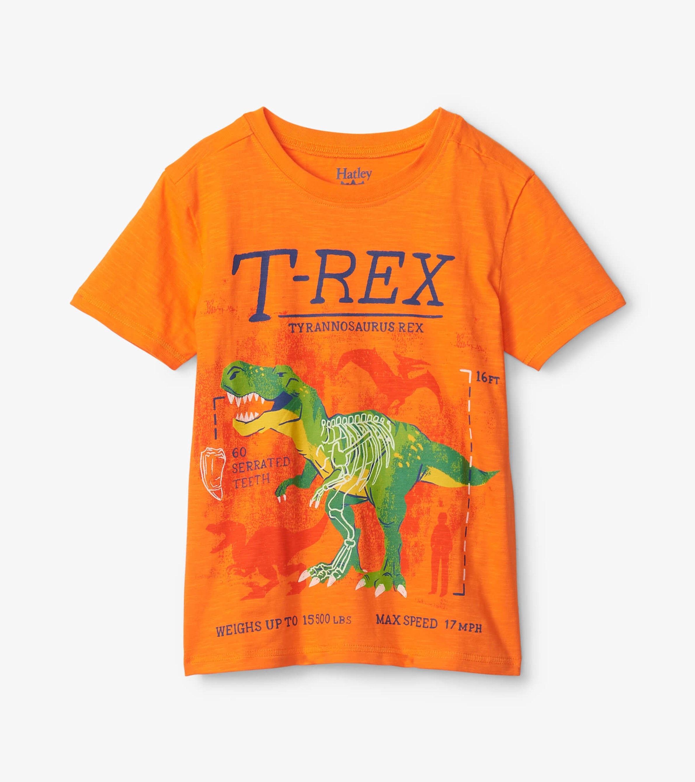 T-Rex Glow In The Dark Graphic Tee | Hatley Onsale Boys