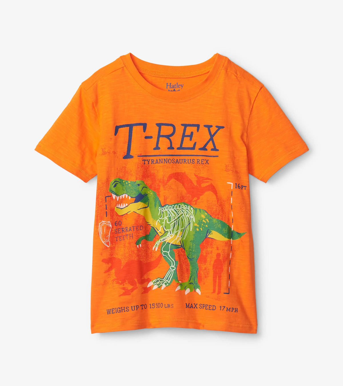 T-Rex Glow In The Dark Graphic Tee | Hatley Onsale Boys