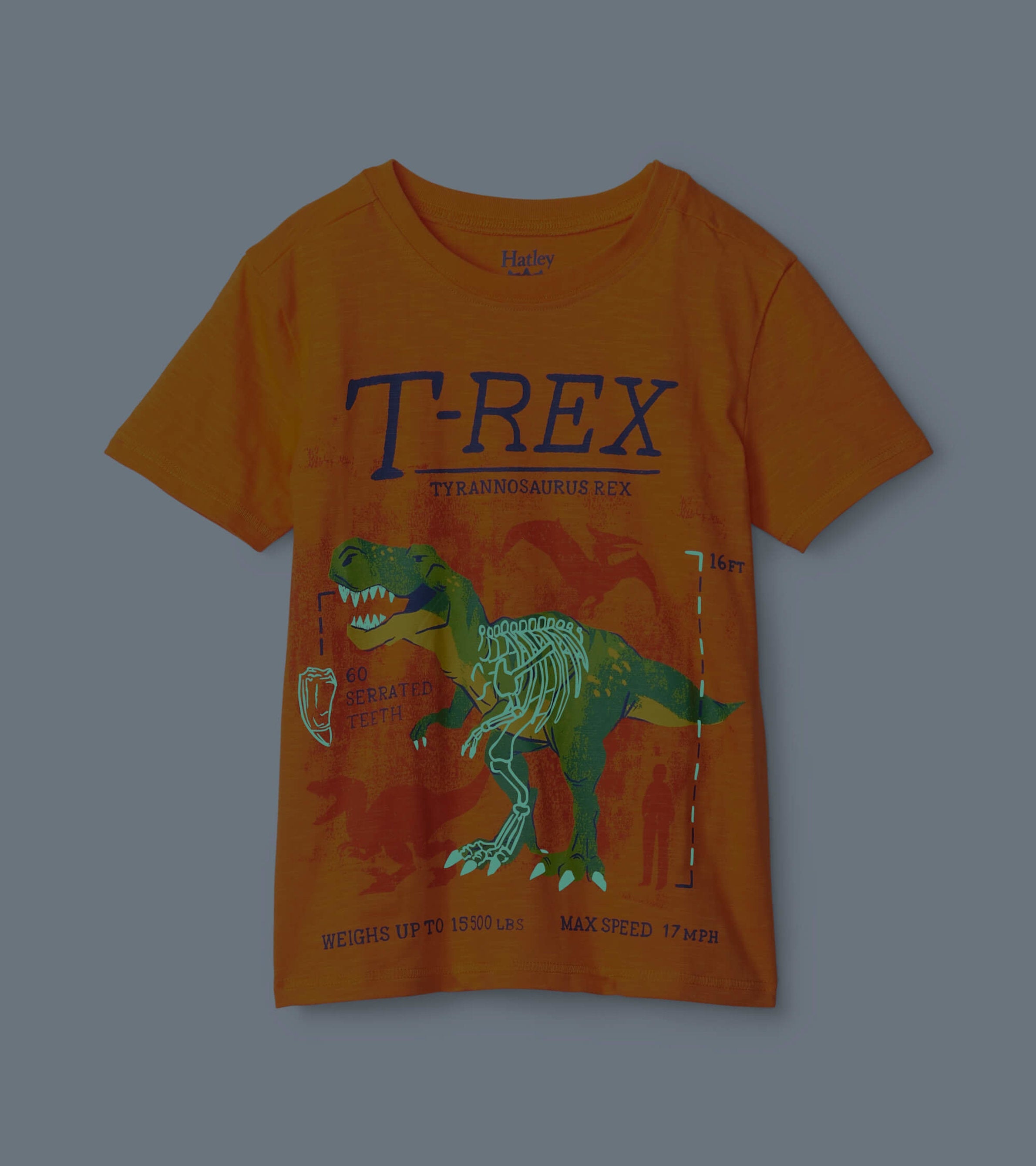 T-Rex Glow In The Dark Graphic Tee | Hatley Onsale Boys