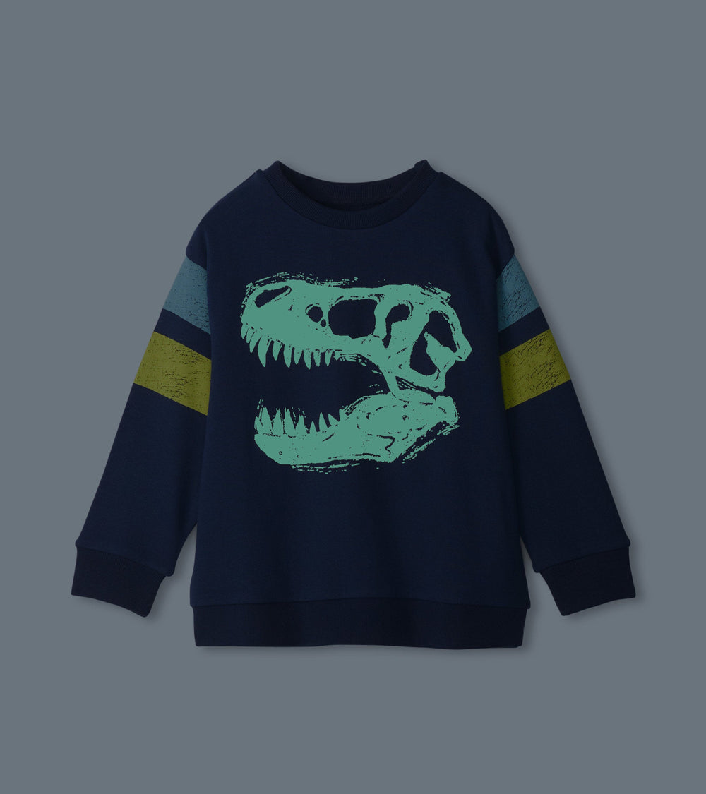 Boys Dino Glow Pullover Sweatshirt | Hatley Onsale Boys