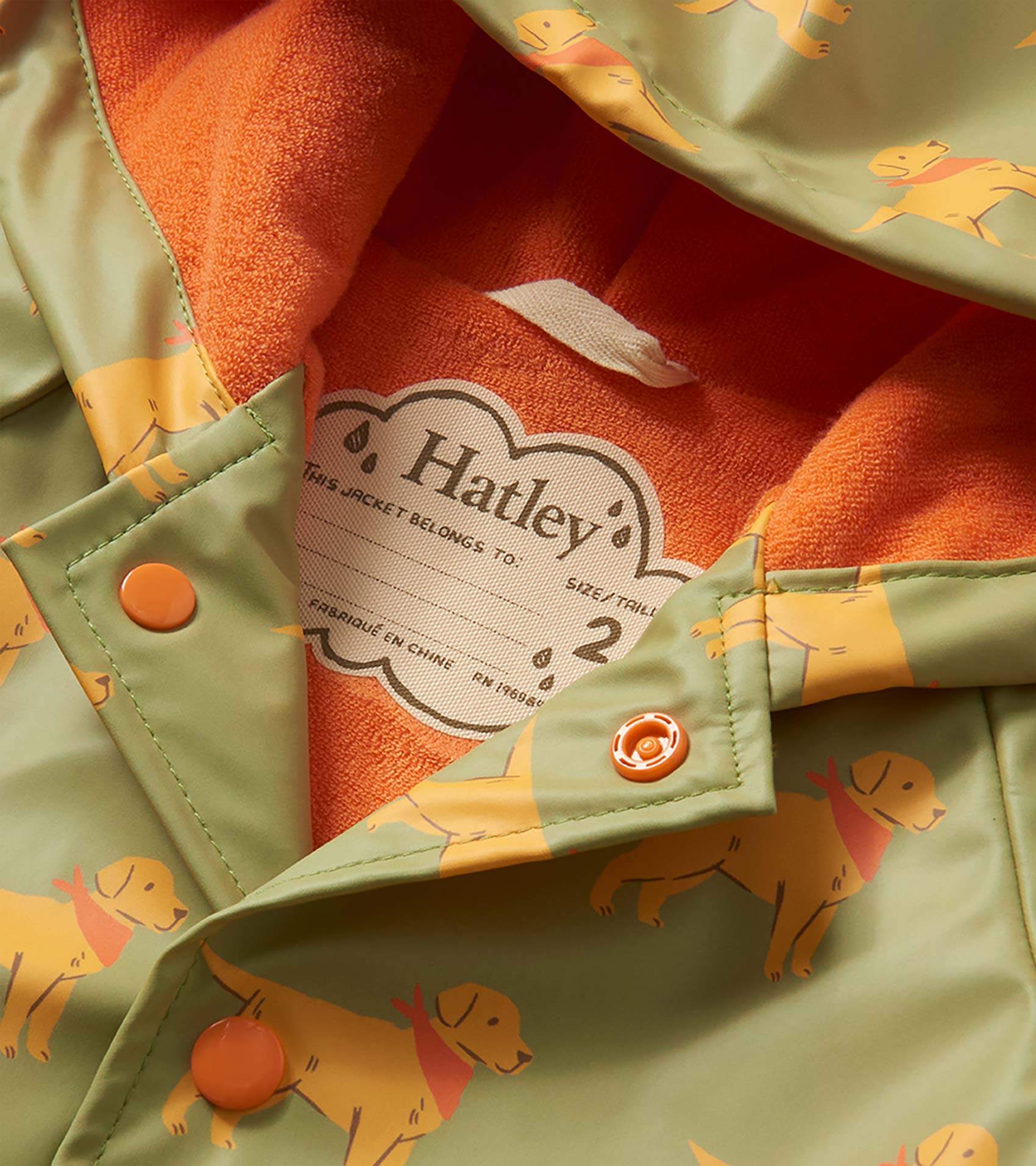 Baby & Toddler Boys Camping Puppy Button-Up Rain Jacket | Hatley Baby & Toddler