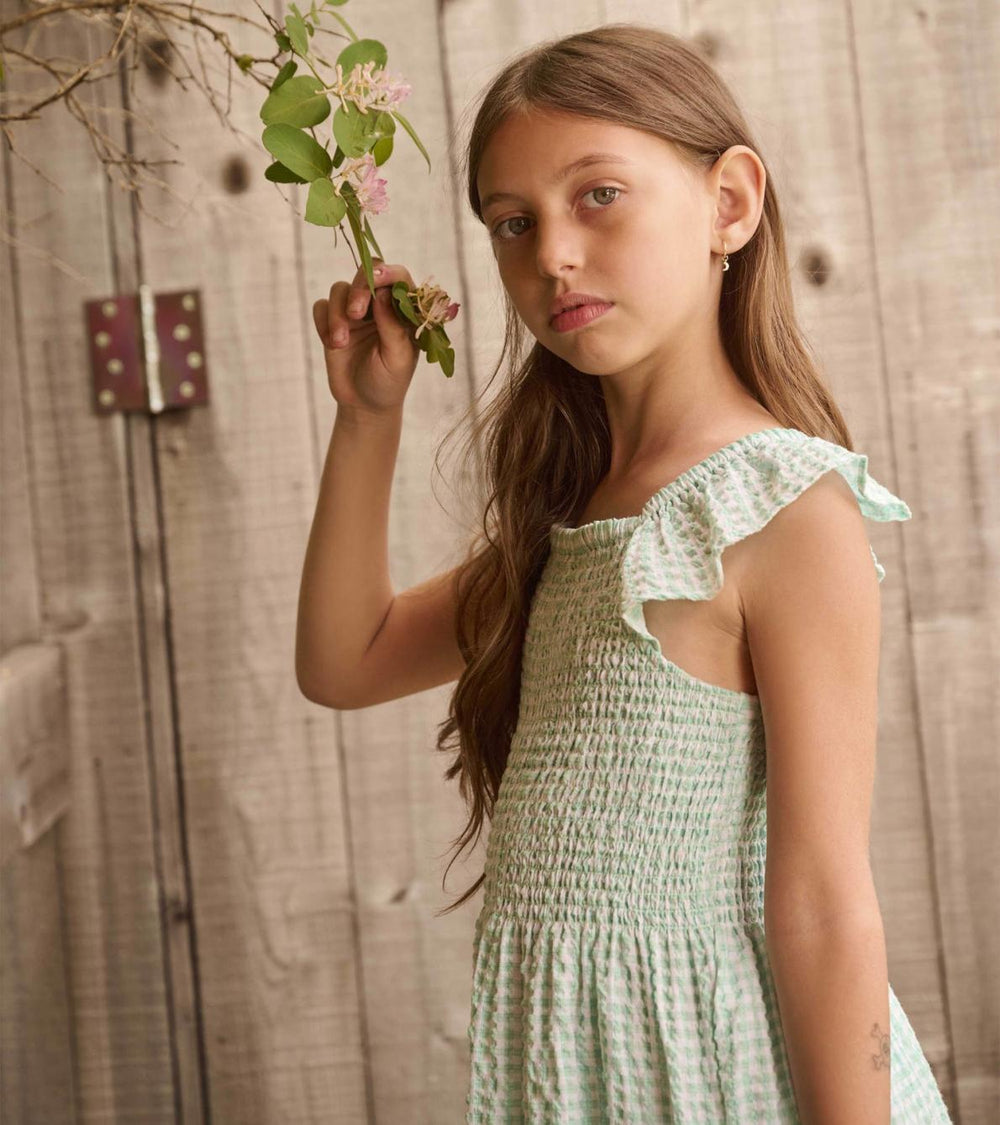 Hatley Dresses | Girls Girls Gingham Seersucker Smocked Dress