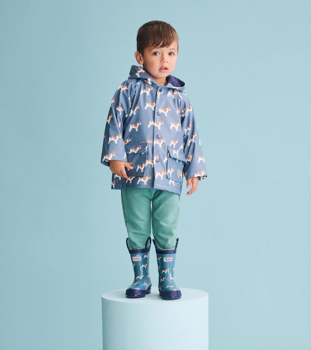 Hatley Rainwear | Baby &amp; Toddler Toddler Boys French Bulldogs Rain Boots