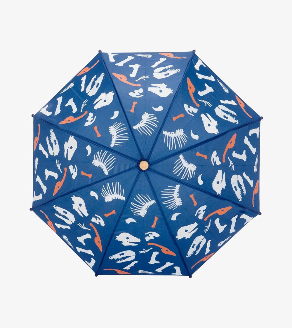 Hatley Rainwear | Boys Dino Fossils Colour Changing Umbrella