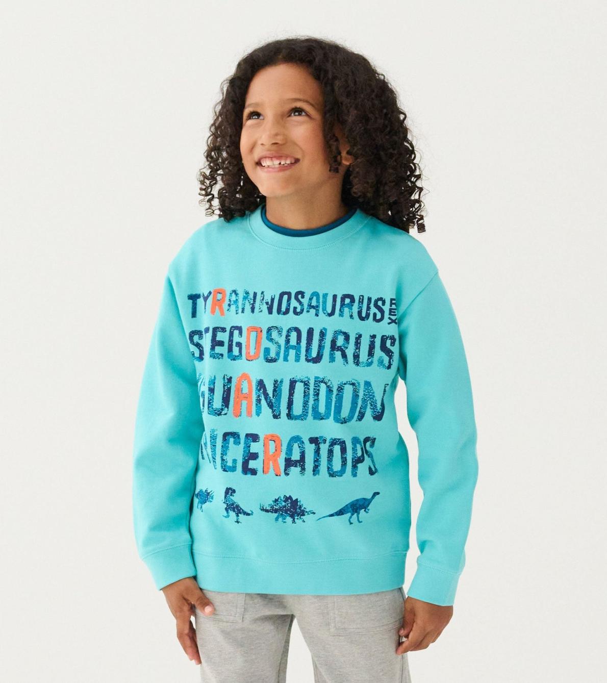 Hatley Sweaters | Boys Boys Dinosaur Roar Sweatshirt