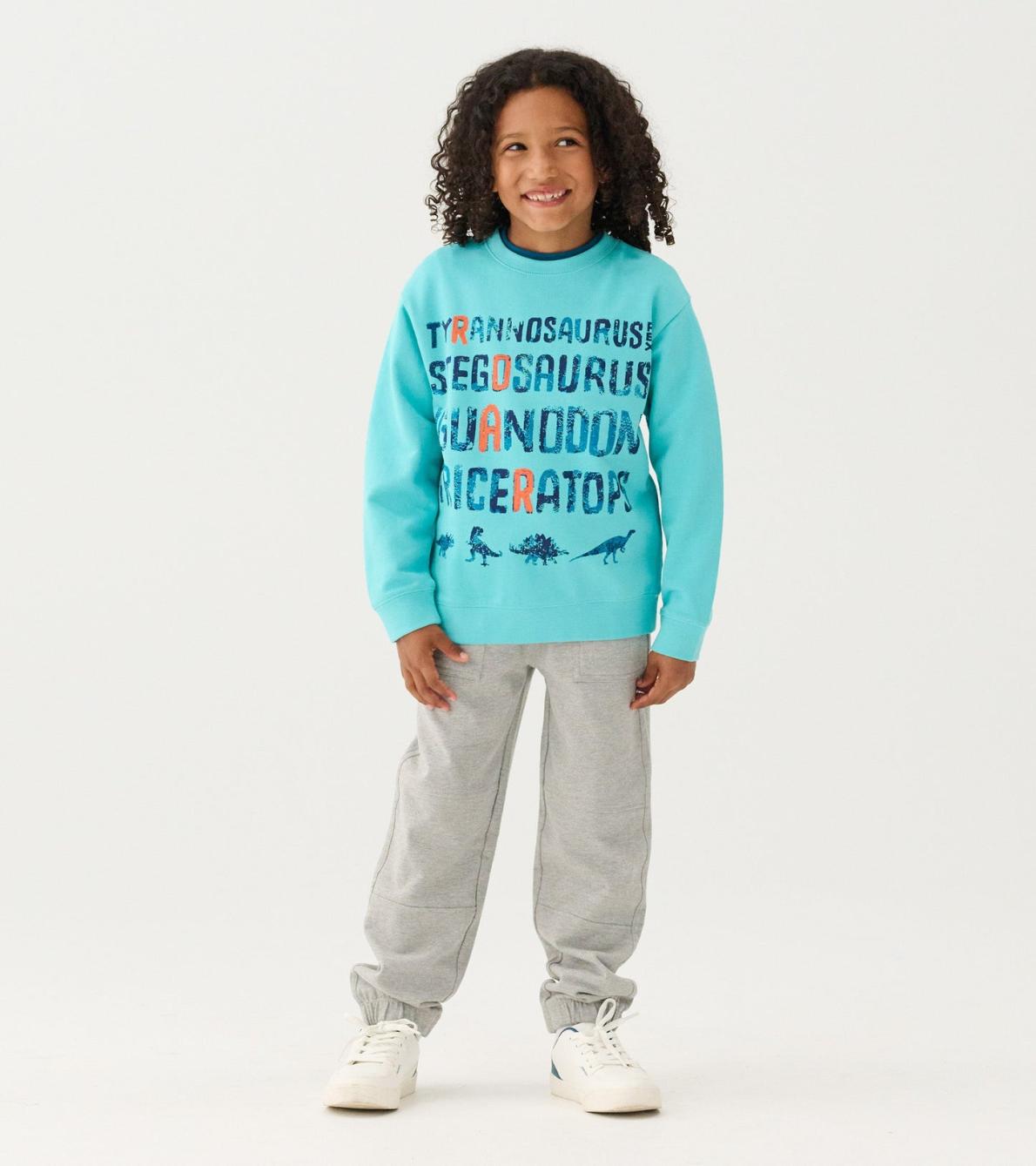 Hatley Sweaters | Boys Boys Dinosaur Roar Sweatshirt