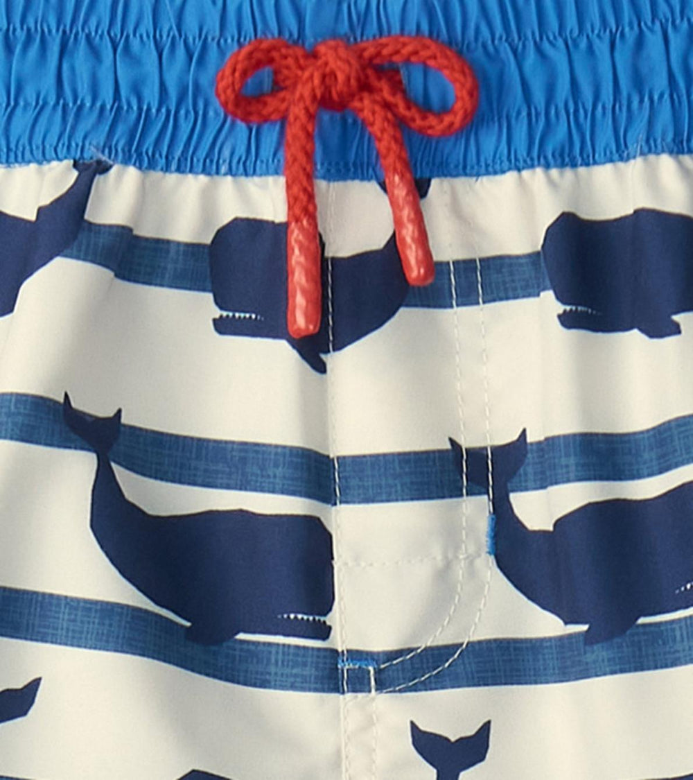 Hatley Swimwear | Boys Boys Nautical Whale Swim Shorts