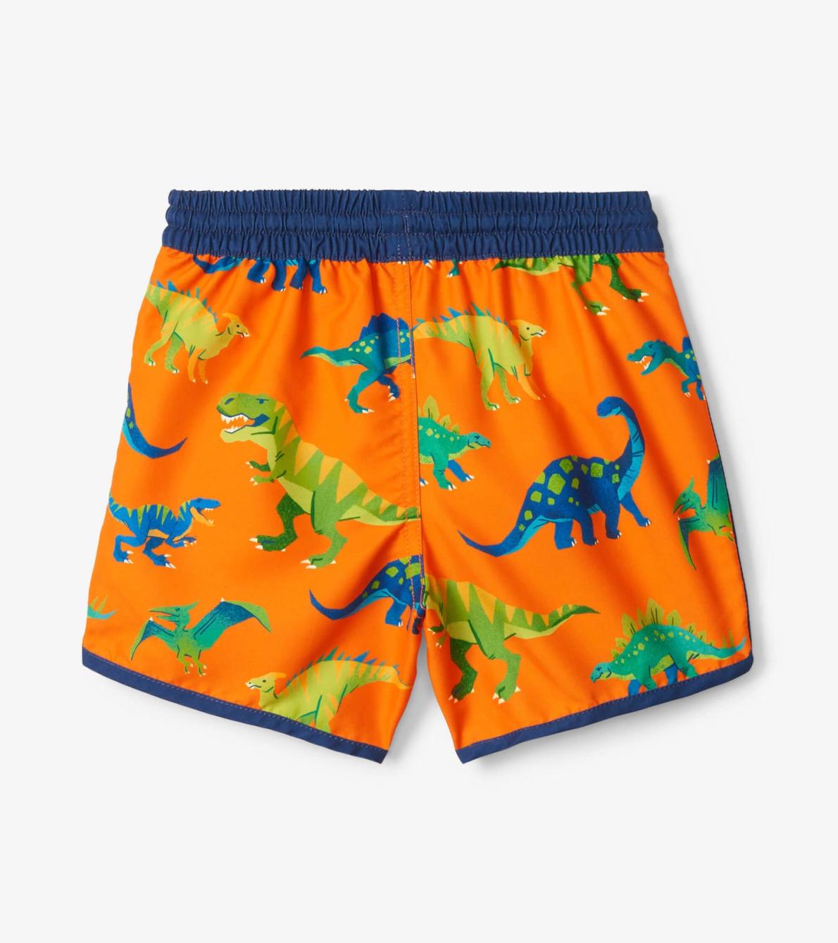 Hatley Swimwear | Boys Colourblock Dino Swim Shorts