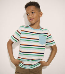 Hatley Tops | Boys Boys Hiking Stripes Pocket Tee