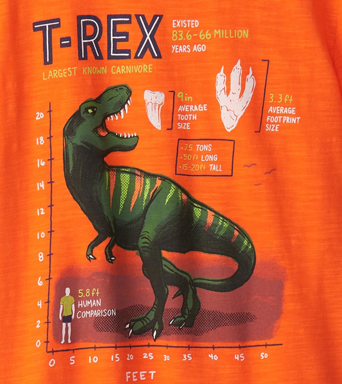 Hatley Tops | Boys Boys T-Rex Graphic Tee