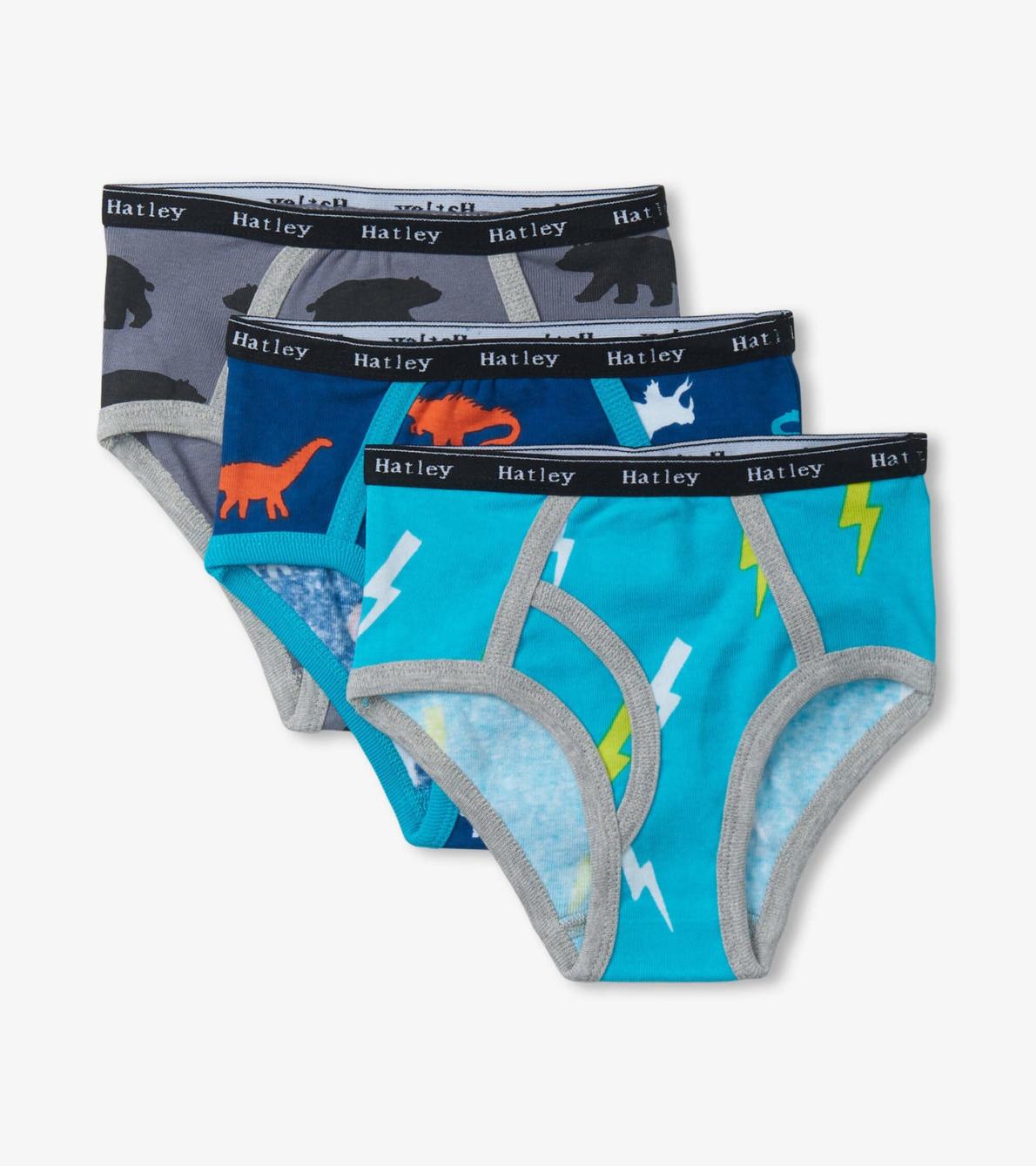 Hatley Underwear | Boys Boys Silhouette Nature 3 Pack Classic Briefs