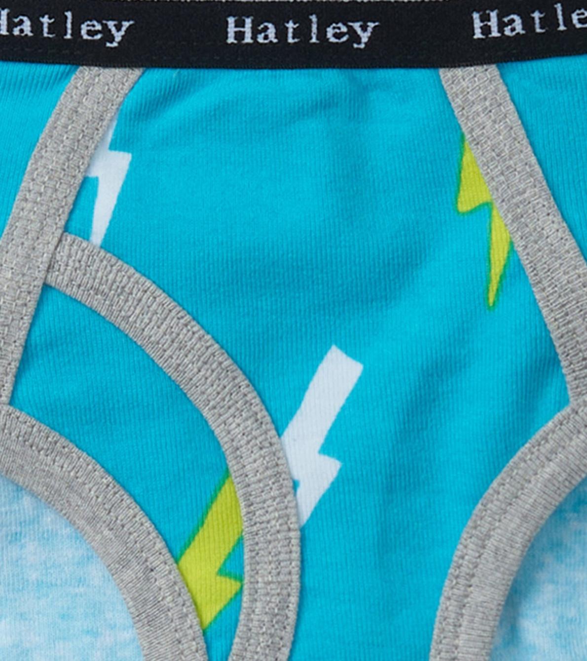 Hatley Underwear | Boys Boys Silhouette Nature 3 Pack Classic Briefs