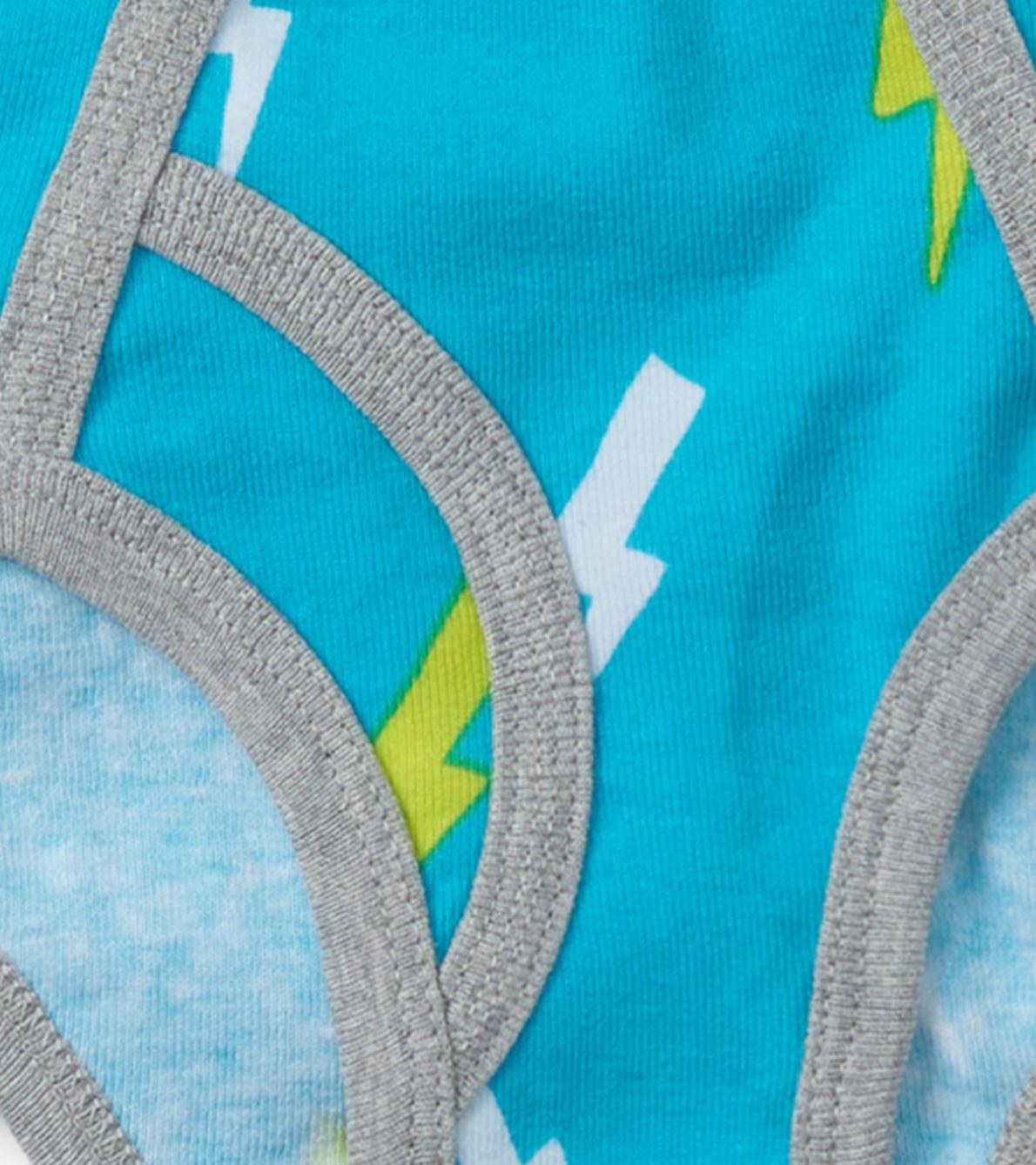 Hatley Underwear | Boys Boys Silhouette Nature 3 Pack Classic Briefs