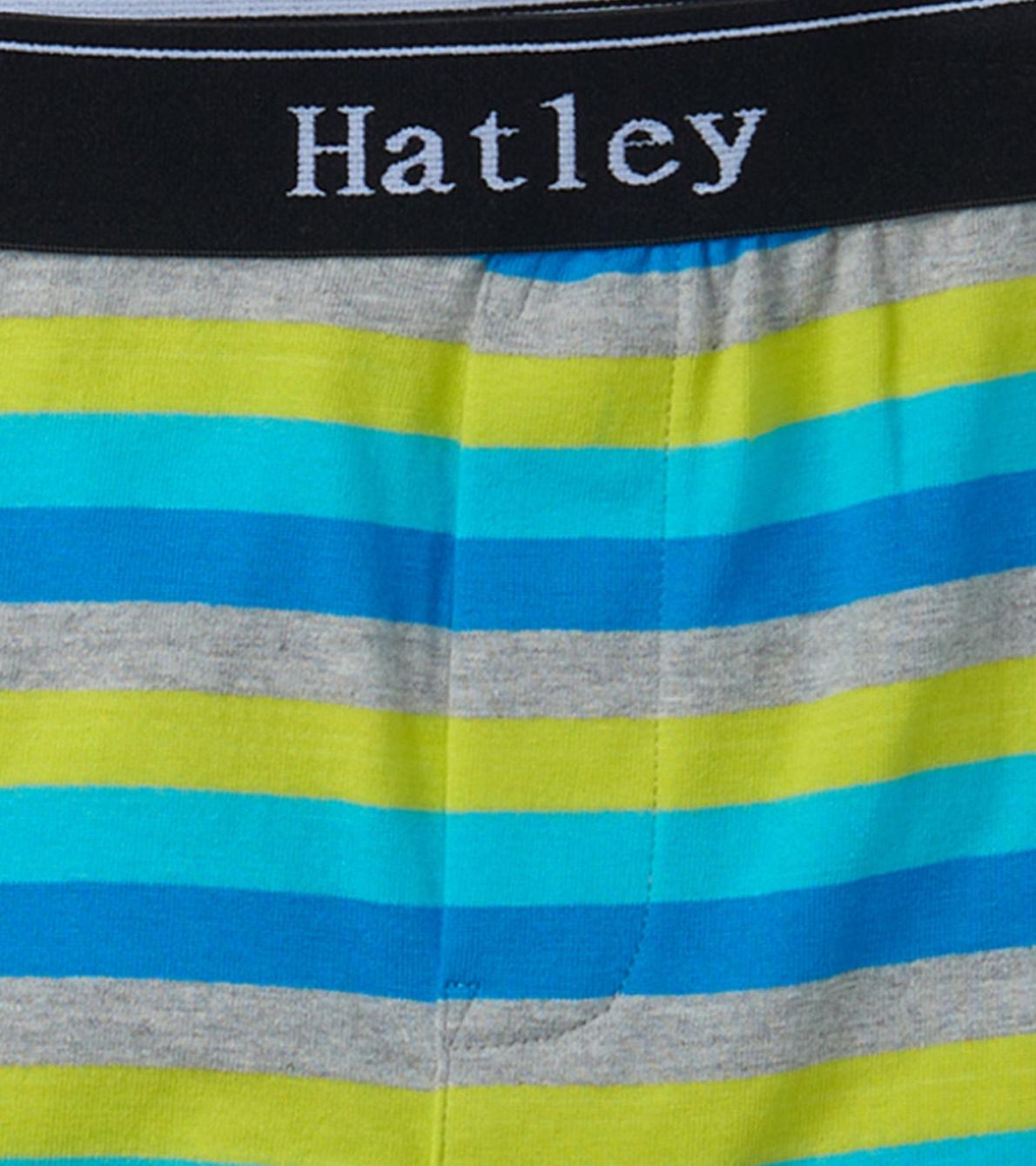 Hatley Underwear | Boys Boys Stripes 3 Pack Boxer Briefs