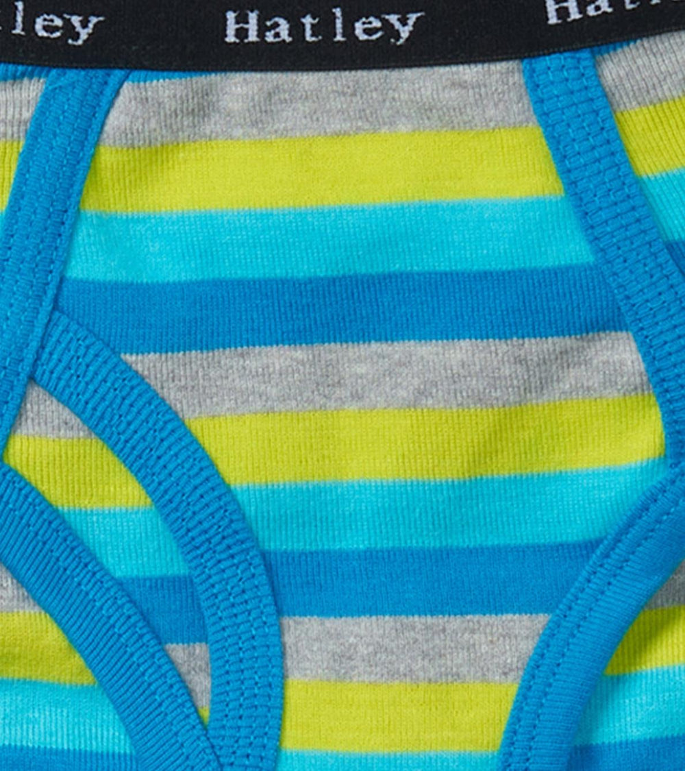 Hatley Underwear | Boys Boys Stripes 3 Pack Classic Briefs